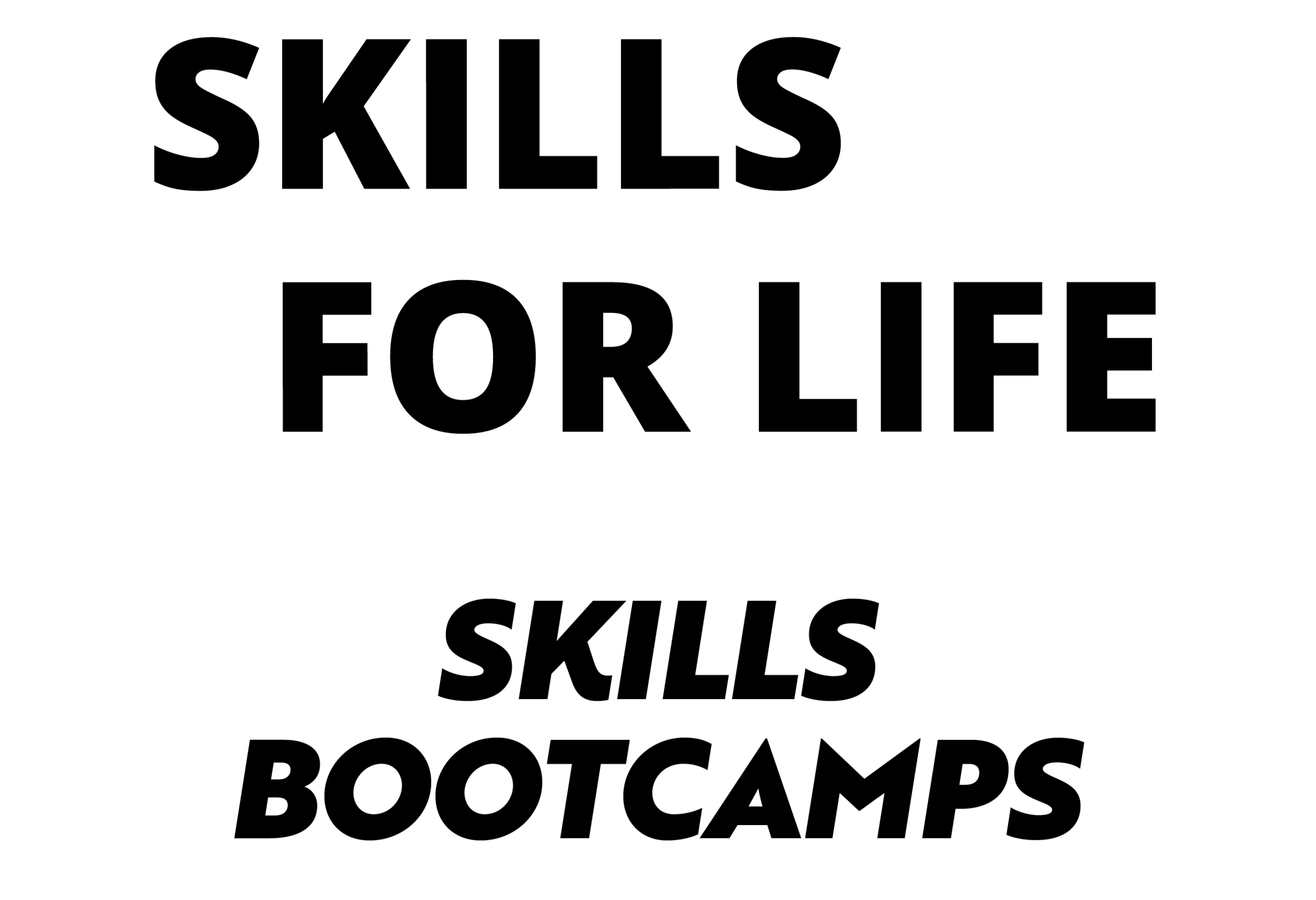 DFE_SkillsBootcamp_logo_White